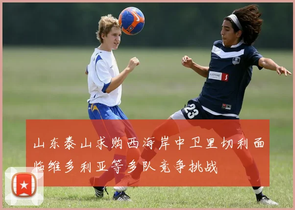 山东泰山求购西海岸中卫里切利面临维多利亚等多队竞争挑战
