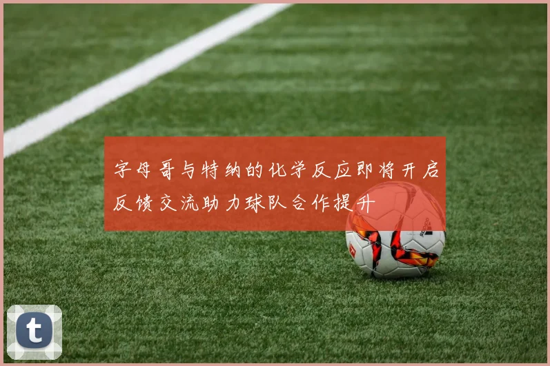 字母哥与特纳的化学反应即将开启反馈交流助力球队合作提升