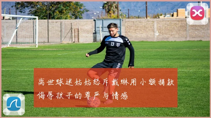 离世球迷姑姑怒斥戴琳用小额捐款侮辱孩子的尊严与情感