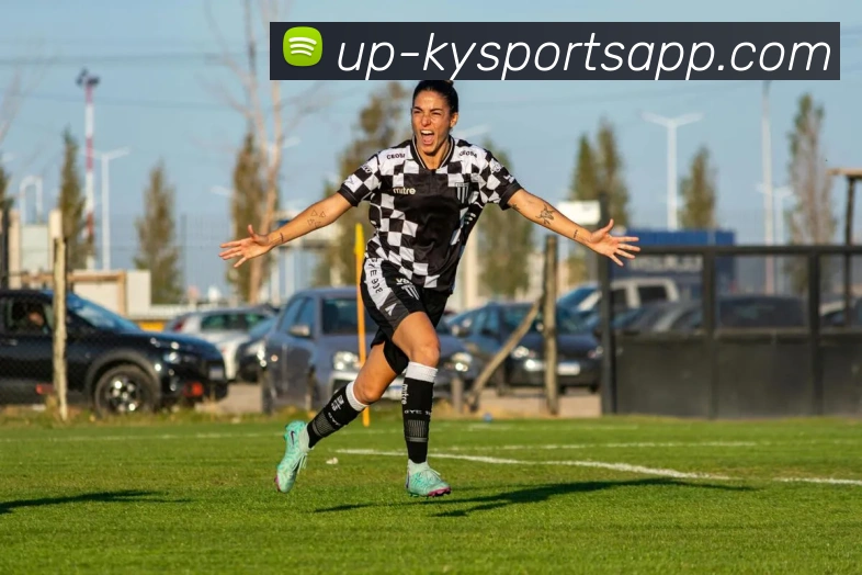 App Interface Preview